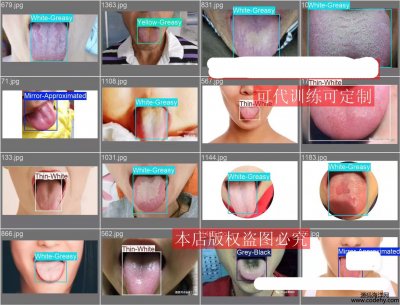 7892-^̦zy(c)YOLO(sh)(j)ģ1472 5